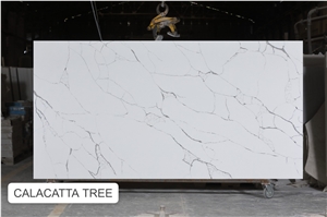 Calacatta Tree Quartz Slabs