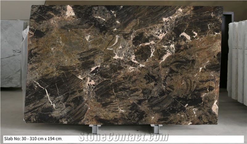 Exotic Carob Brown India Granite Slabs