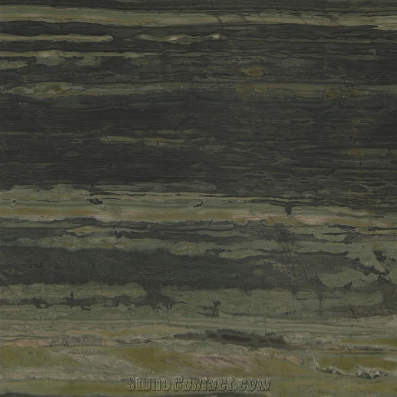 Verde Bamboo Quartzite Kitchen Countertop from United States 