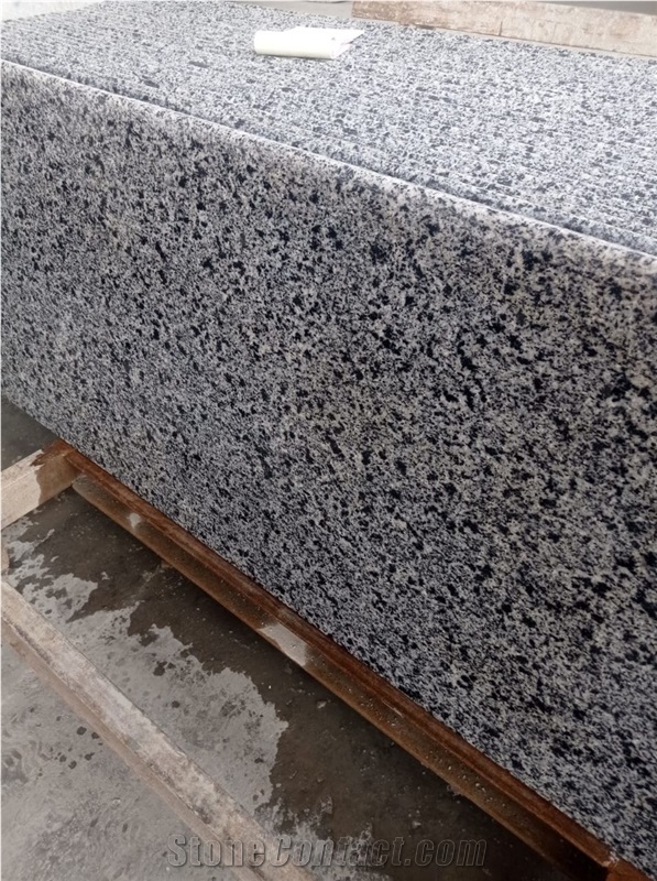Polished New Halayeb Granite Slabs