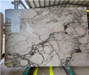 Marble Slab Multicolor Marble YM0223