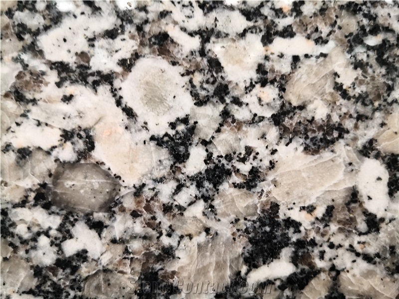 America Oconee Beige Granite Slab Good For Floor