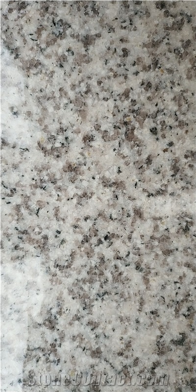 Bianco Sardo White Granite Slab Tiles