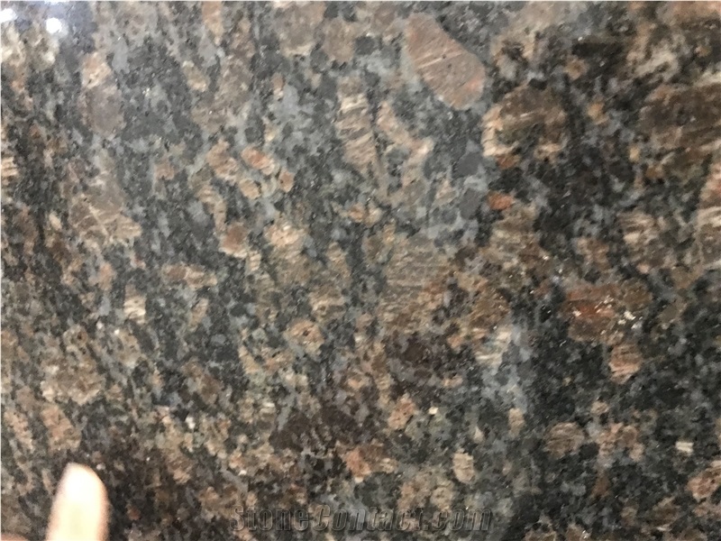 Brazil Amozon Star Granite Slab Tile For Floor And Wall