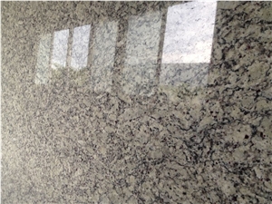 Brazil Bianco Forest White Granite