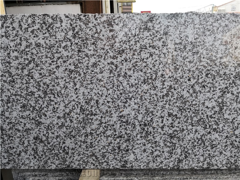 China G439 Big White Flower Granite Slab Tile