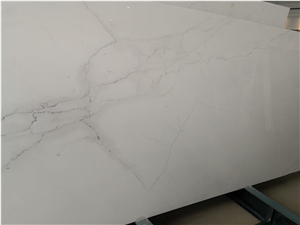 Colorado Yule White Marble Slab For Wall
