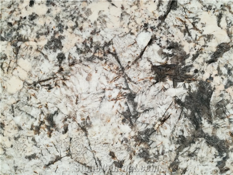 Drazil Cream Delicatus White Granite Slab Tile