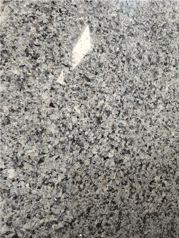Spain Bohemian Grey Granite Slab Tile
