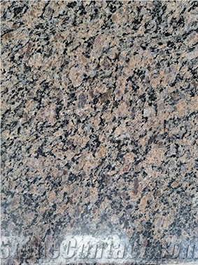 Tan Brown Granite Tiles Granite Slabs