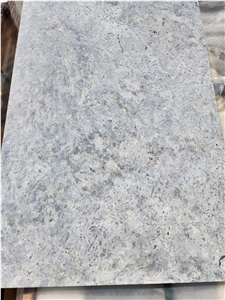 Transylvania Coral Limestone Slabs