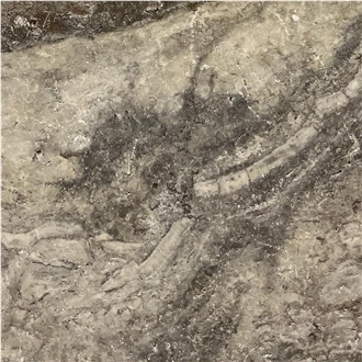Aurelius Silver Travertine