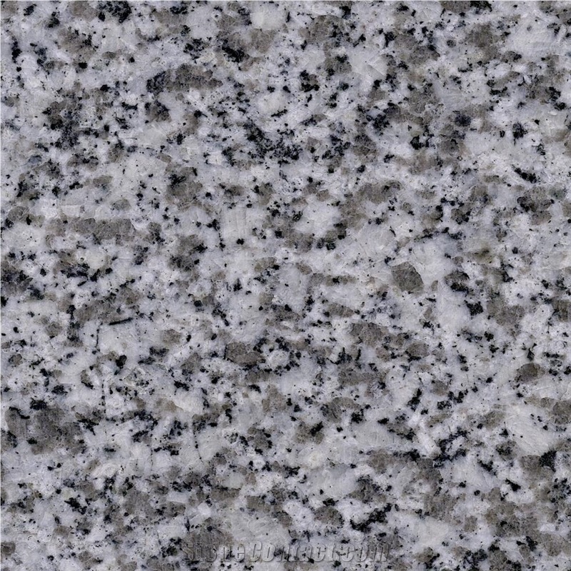 Gris Parga Granite 