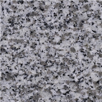 Gris Parga Granite
