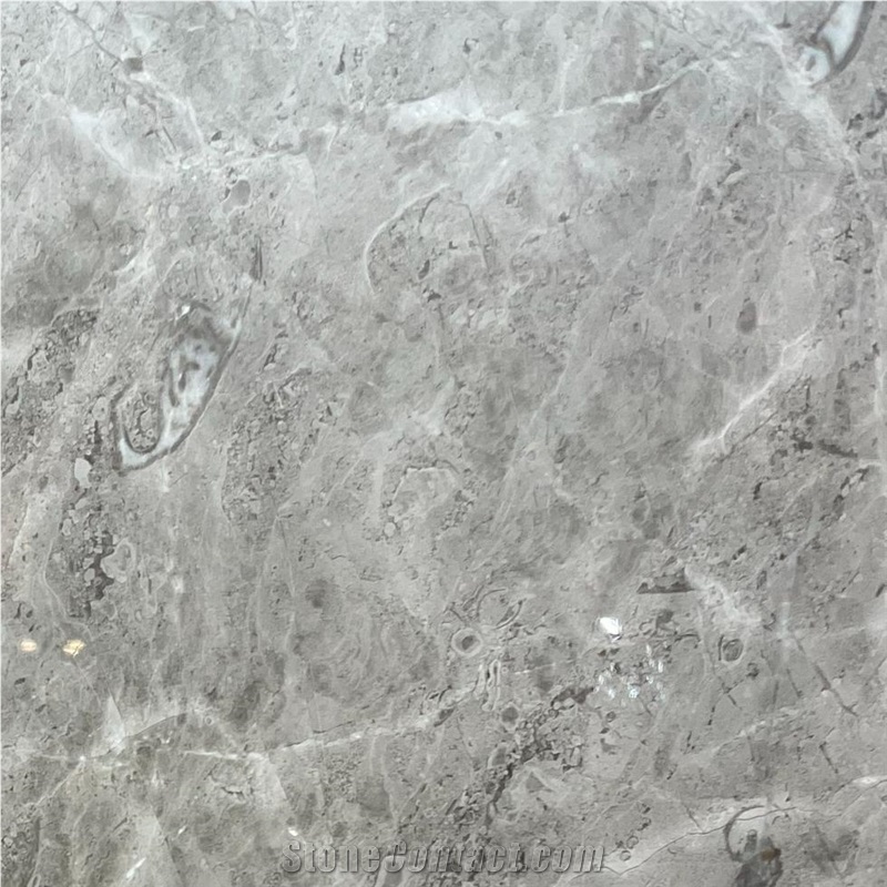 Olive Pearl Gray Marble 