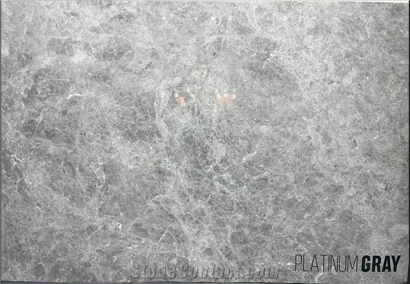 Platinum Grey Marble Slab