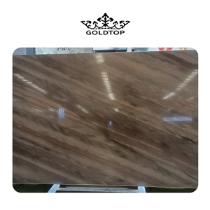 Fantasy Pattern Brown Quartzite Elegant Brown Slabs