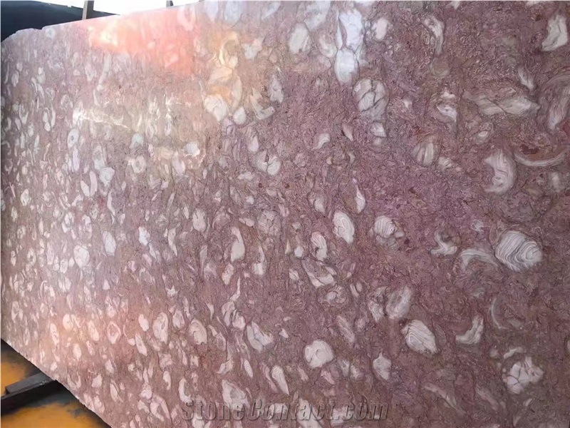 Shells Reef Pink Limestone Slabs Tiles