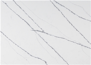 Carrara White Quartz Stone Slabs Tiles Classic White AQ0611
