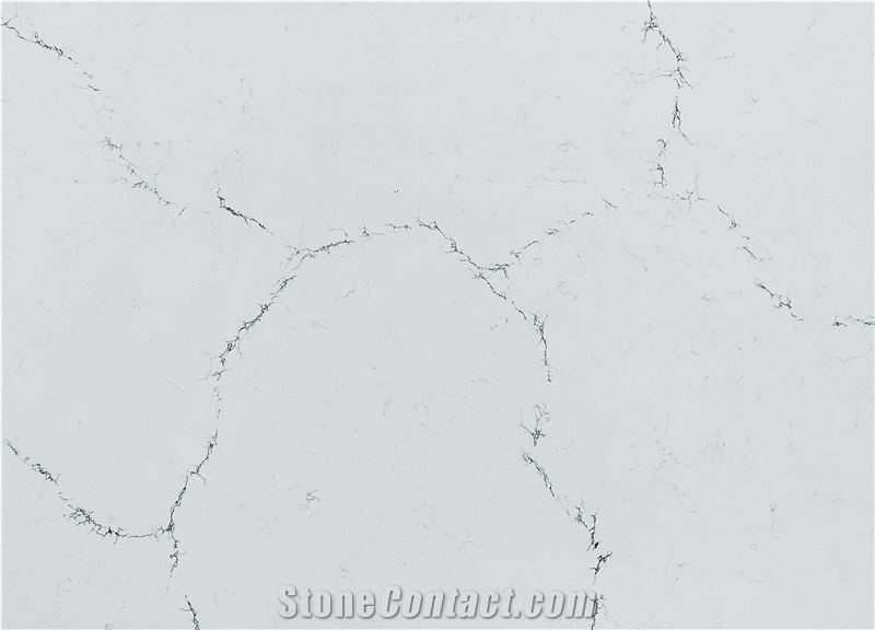 Quartz Slabs Calacatta Black Veins White Background