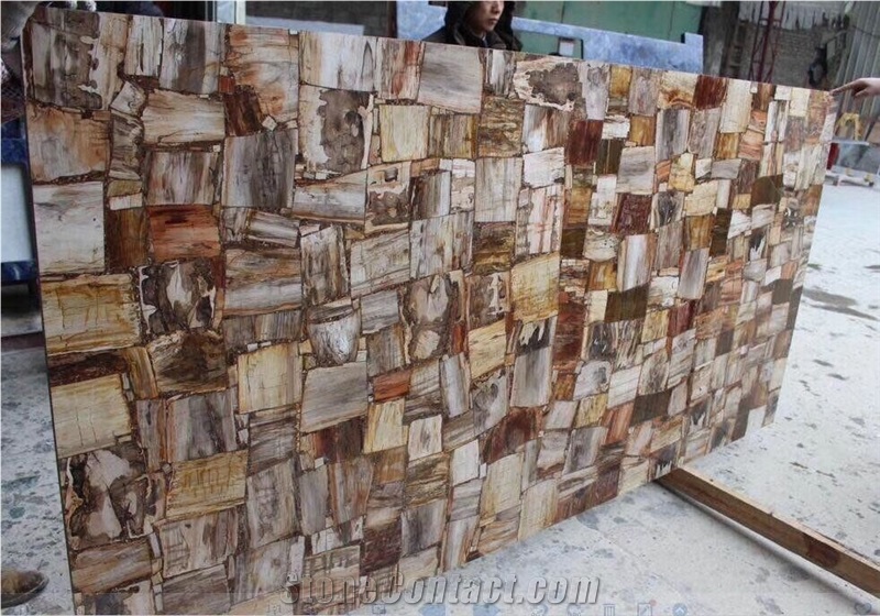 Pertrify Wood Agate Semiprecious Stone Brown Slab Wall Tile
