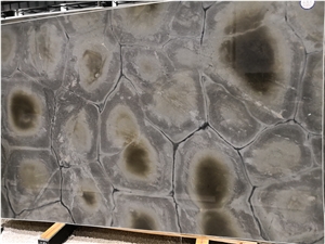 Brazil Verde Tortuga Quartzite Green Slab Kitchen Tile