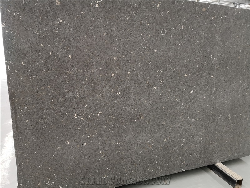 Columbia Black Rosa Limestone Slab Tile