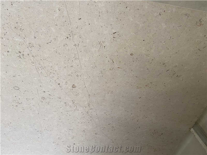 Indonesia Shell Limestone Beige Slab Tile
