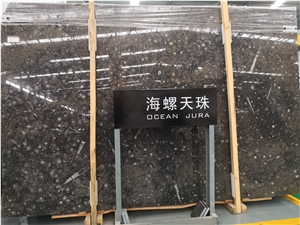 Morocco Fossil Black Marble Slab Tile