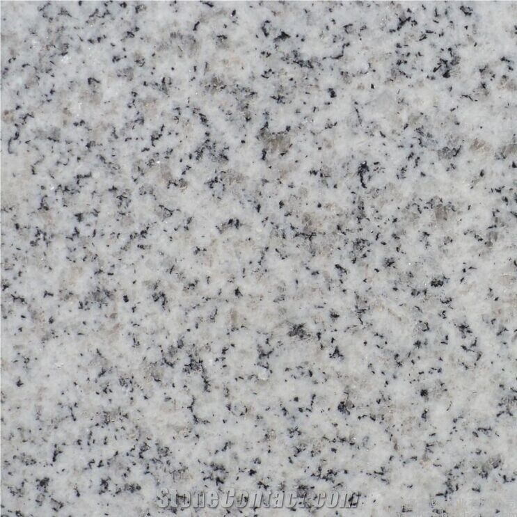 Shandong White Granite Slab Kitchen Tile Floor