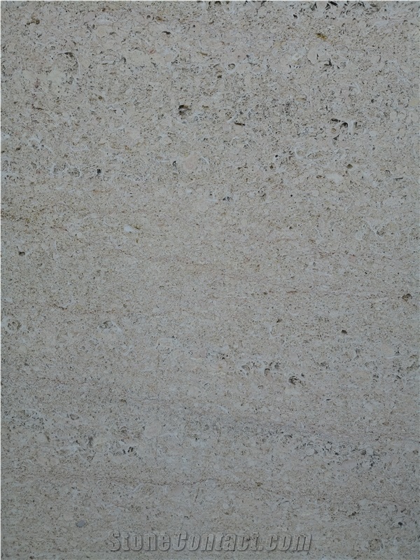 Spain White Amarillo Fosil Limestone Slab Wall Tile Floor