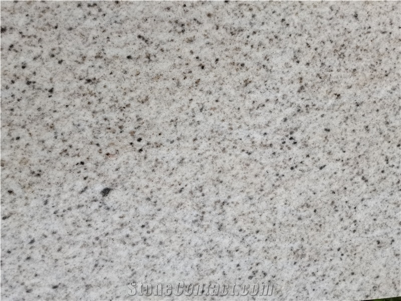 USA Sierra White Granite Slab Kitchen Tile Floor