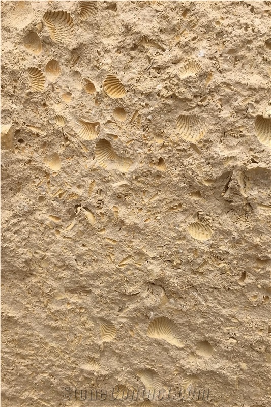 Cordova Shell Limestone Cream Shell Limestone Blocks