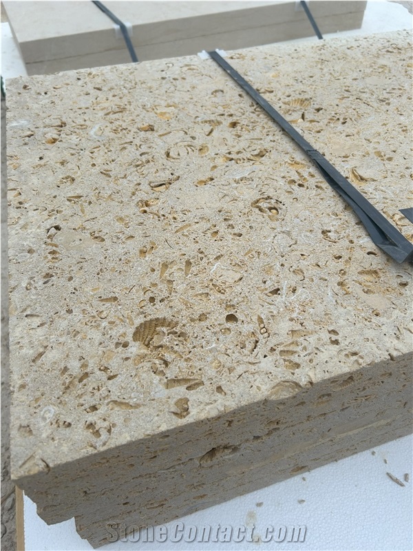 Texas Shell Stone Tiles