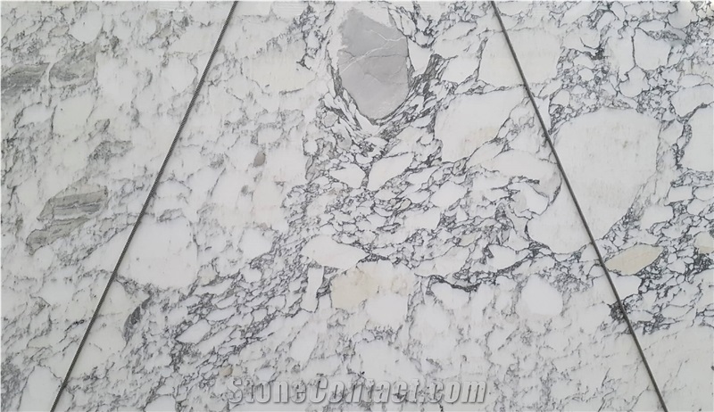 Arabescato Vagli Marble Slabs