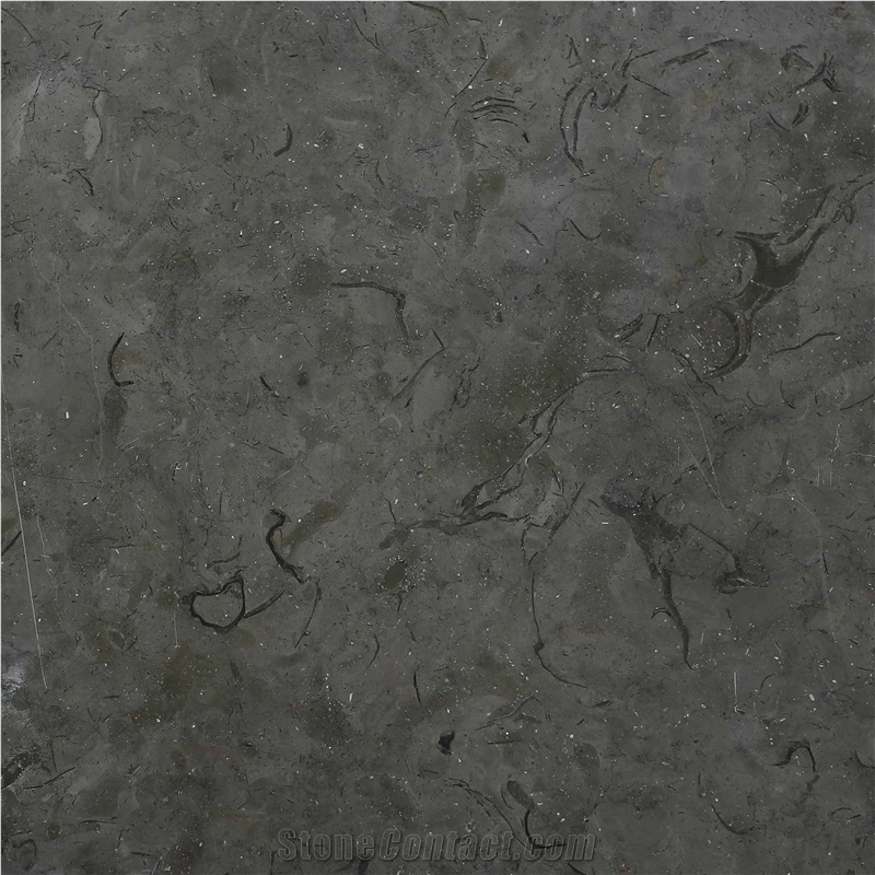 Melly Grey Marble, Royal Grey Marble Tiles & Slabs