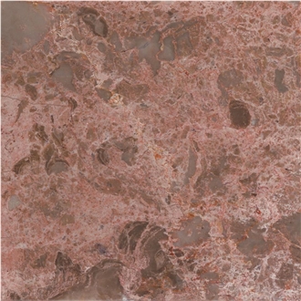Brecha do Algarve Limestone