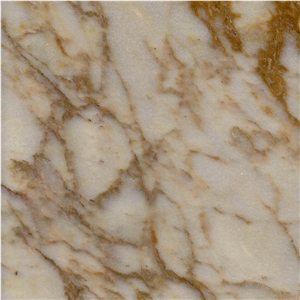 Gold Vein Marble