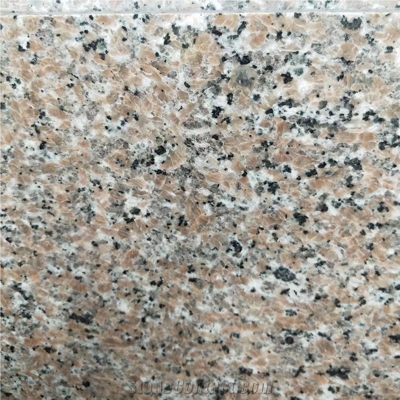 Zhongshan Pink Porino Granite 