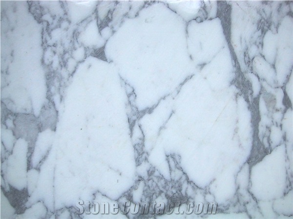 Arabescato Cervaiole Marble Slabs