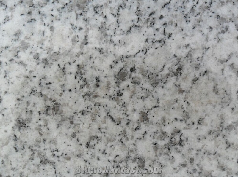 Shandong White G365 Granite Slab Tiles