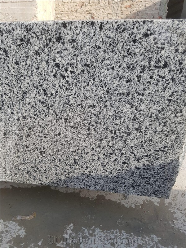 New Bianco Halayeb Granite Slabs