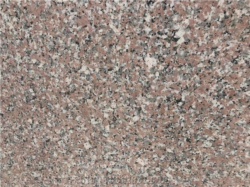 Rosa Nasr Granite Slabs