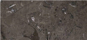Melly Brown Marble Slabs