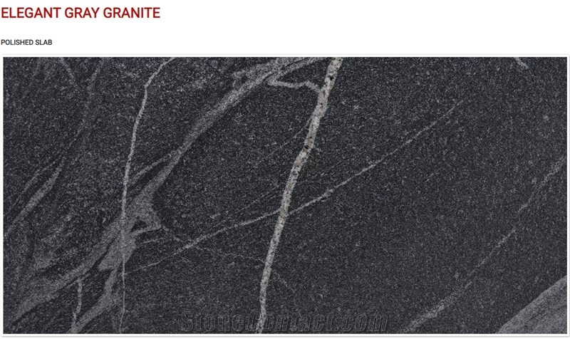 Elegant Gray Granite Polished Slabs