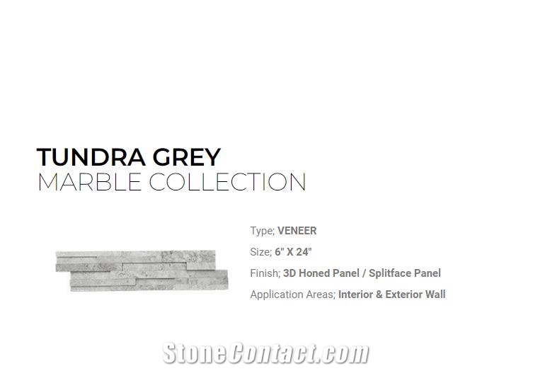 Tundra Grey Marble Bamboo Plank Veneer-Splitface Ledger