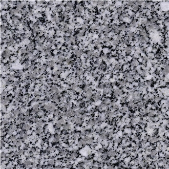 Black White Flower Granite