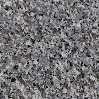 Grey Star Granite