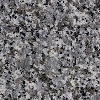 Grey Star Granite