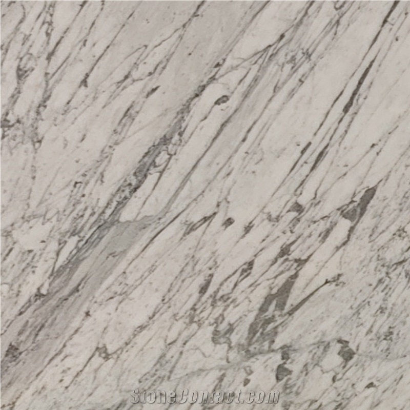 White Marble Slabs Italy Natural Stone Bianco Statuario